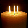 6 x 5 Inch Hand Rolled Beeswax Pillar Triple Wick Candle