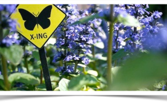 Butterfly Crossing Sign with Flowers