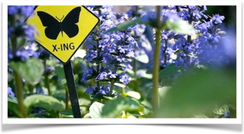 Butterfly Crossing Sign with Flowers